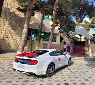 Digər avto xidmətlər: 2018-ci il Mustang. Toy, Nişan və digər tədbirlər üçün sifariş edə — 5