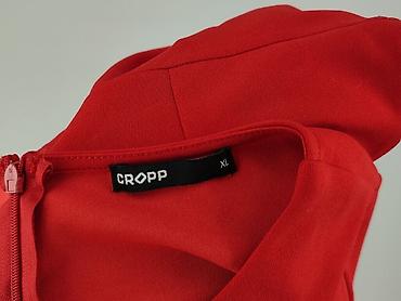 cross jeans jacket: Cropp, Sukienka damska, rozmiar XL — 4