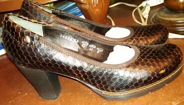 sinsay salonke: Pumps, Paar, 38 at lalafo.rs sinsay salonke: Pumps, Paar, 38