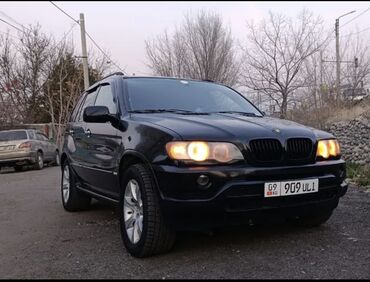 BMW: BMW X5: 2004 г., 4.4 л, Типтроник, Бензин, Кроссовер — 2