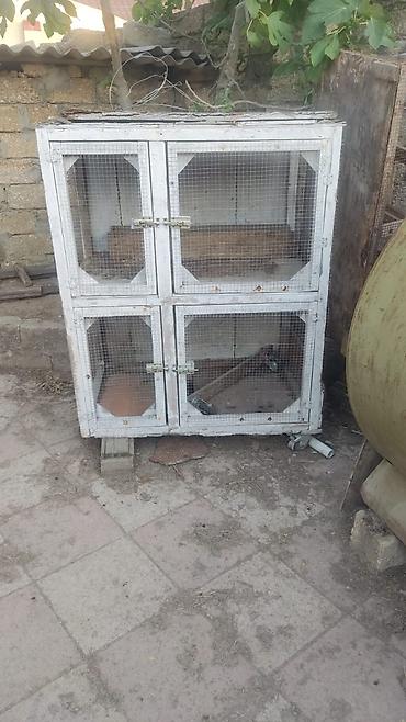 dovşan reks: Taxta və metal torlu çoxbölməli qəfəs - Material: taxta karkas, ön və — 2