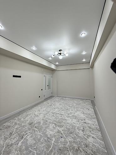 ско: 1 комната, 48 м², Пишпек Элитка, 5 этаж, Евроремонт — 3