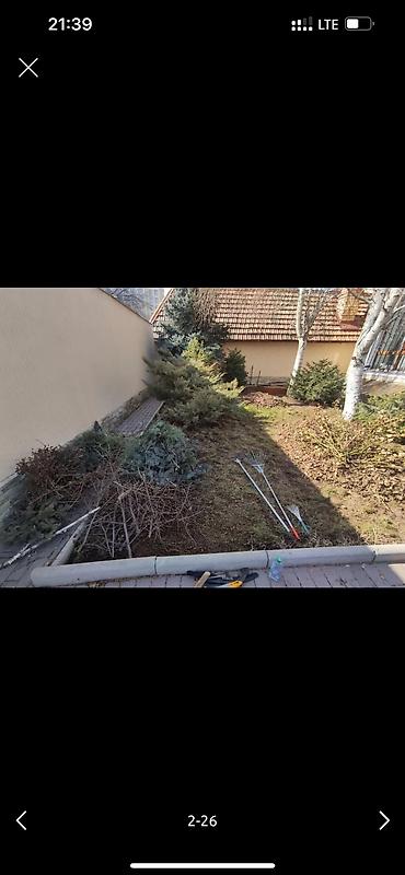 Дворники, садовники: 🌱Я садовник приходящий раз в неделю уборку сада генеральный уборка at lalafo.kg — 2 Дворники, садовники: 🌱Я садовник приходящий раз в неделю уборку сада генеральный уборка — 2