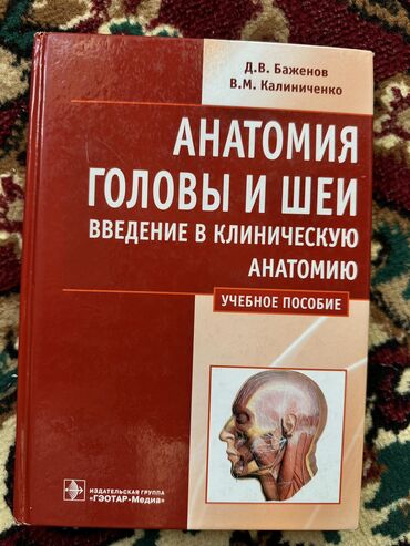 спортивные повязки на голову: Анатомия головы и шеи