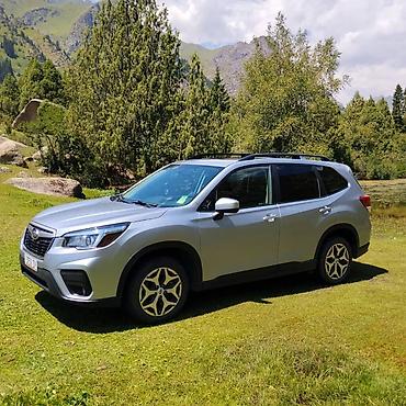 e34 4 4: Subaru Forester: 2020 г., 2.5 л, Вариатор, Бензин, Кроссовер — 10