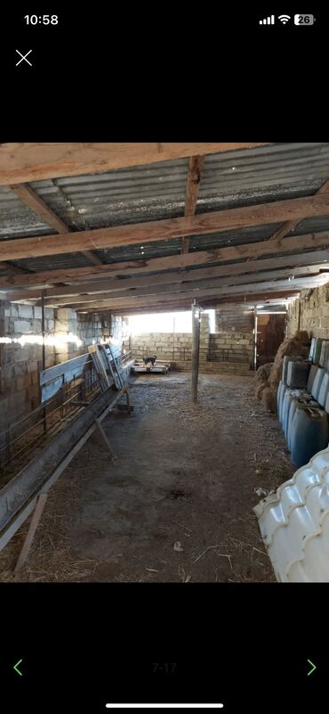 Həyət evləri və villaların satışı: Qala qəs. 3 otaqlı, 550 kv. m, Kredit yoxdur, Orta təmir — 10