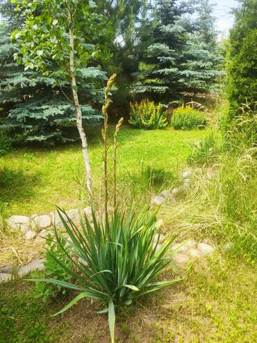 Продажа домов: Дом, 100 м², 5 комнат, Собственник — 17