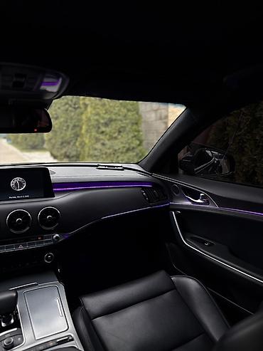 для химчистки салона: Kia Stinger: 2019 г., 2 л, Автомат, Бензин, Фастбек — 10