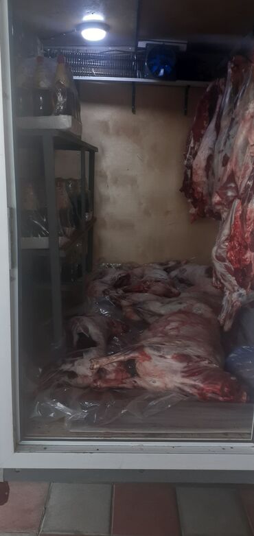 Qoşqular: Sürülə bilən ticarət treyleri – soyuducu/klimat sistemli - Üstü — 12