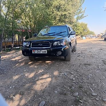 Продажа авто: Subaru Forester: 2003 г., 2 л, Автомат, Бензин, Кроссовер — 1