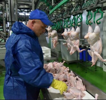 работа в бишкеке для мужчин старше 60 лет: Требуется Упаковщик, Оплата Дважды в месяц, Без опыта