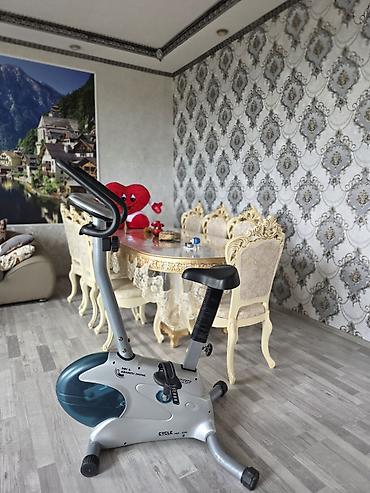 samokat az: Proteus Cycle PEC-2330 stasionar velosiped-trenajor. 450 azn alınıb — 3