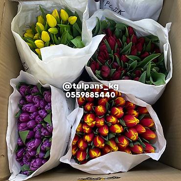 Цветы и букеты: СВЕЖИЕ тюльпаны к 8 Марта 🌷 Голландские луковицы 🇳🇱 | 40–50 см Опт и — 6