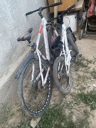 single speed: Продаю сразу обеих за 6500 торг есть если хотите узнать подробнее — 2