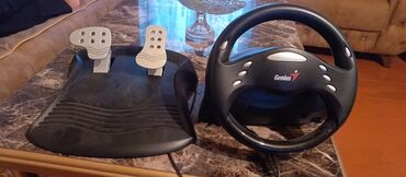 suret kutusu: Genius sükan və pedallar dəsti – kompüter və oyun konsolları üçün