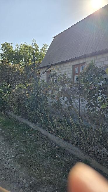 работа в складе: 16 соток, Красная книга, Договор купли-продажи — 3