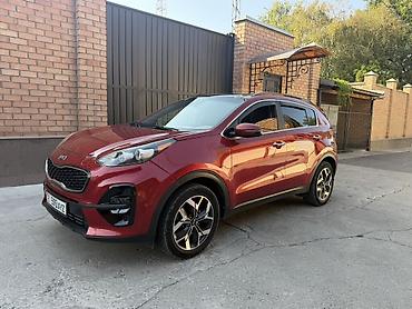 awd: Kia Sportage: 2021 г., 2.4 л, Автомат, Бензин, Кроссовер — 3