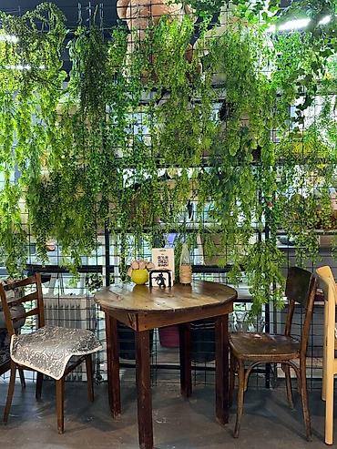 Аренда ресторанов и кафе: Джал мкр Абсамата Масалиева, Продаётся полностью готовый и — 11