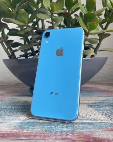 бытовая техника оптом бишкек: IPhone Xr, 128 ГБ, Защитное стекло, Чехол, 91 %