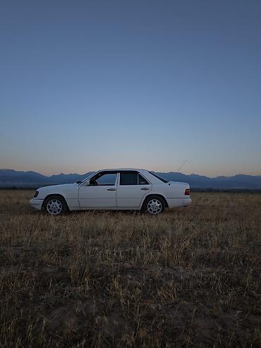 devo matiz: Mercedes-Benz W124: 1991 г., 3 л, Механика, Дизель, Седан — 3