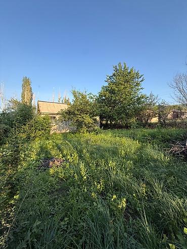 Продажа дач: 🏢 Продаю Земельный участок 📍Локация: Кун-Туу (Дача Радуга) 📏Площадь: 6 — 6