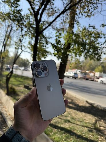 apl: IPhone 15 Pro, Б/у, 256 ГБ, Natural Titanium, Защитное стекло, Чехол, 85 % — 1
