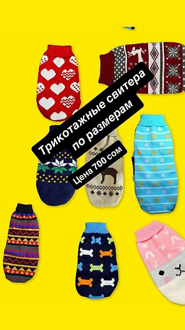 Зоотовары: Одежда для кошек и собак. От 200 сом и дороже Все НОВОЕ РАЗМЕР И — 17