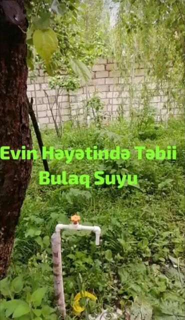 Günlük kirayə evlər: 90 kv. m, 3 otaqlı, İnternet, Telefon, Qaz — 14