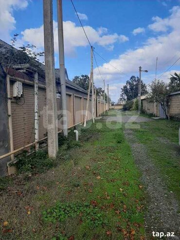 Bağ evlərinin satışı: Nabran, 200 kv. m, 6 otaqlı, Hovuzlu, Artezian quyusu, Kombi, Kanalizasiya -da lalafo.az — 12 Bağ evlərinin satışı: Nabran, 200 kv. m, 6 otaqlı, Hovuzlu, Artezian quyusu, Kombi, Kanalizasiya — 12