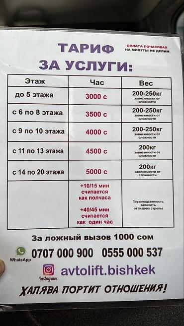 250: Автолифт Автовышка Кран Автолестница/автолифт на базе Hyundai для — 4