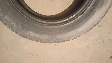 e5 olom: Шина зимняя (без шипов) Sailun Eurofrost 5, размер 235/65 R17 108H XL — 4