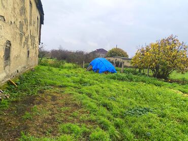 Həyət evləri və villaların satışı: 8 otaq, 100 kv. m, Kredit yoxdur, Təmirsiz — 8