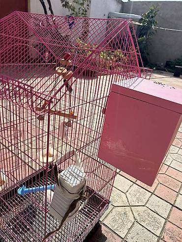 bakida it barinagi: Quş qəfəsi və aksesuarlar paketi - Rəng: çəhrayı metal karkas, damlı — 4