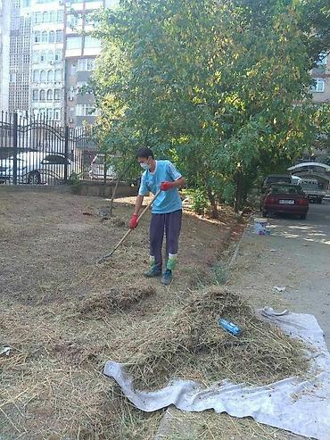 Клининговые услуги: Уборка территории — 5