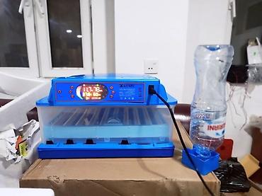 Kənd təssərüfatı avadanlığı: Inkubator inqibator inkibator inqubator incubator Ən Yeni Expert model — 3