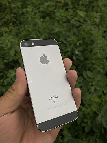 IPhone SE, компактный смартфон Apple в классическом корпусе с кнопкой