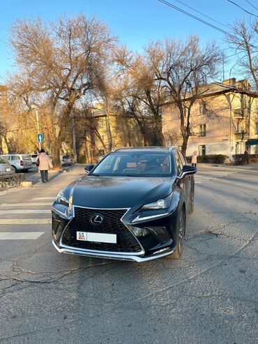 лексус 2018: Lexus NX: 2018 г., 2 л, Автомат, Бензин, Кроссовер