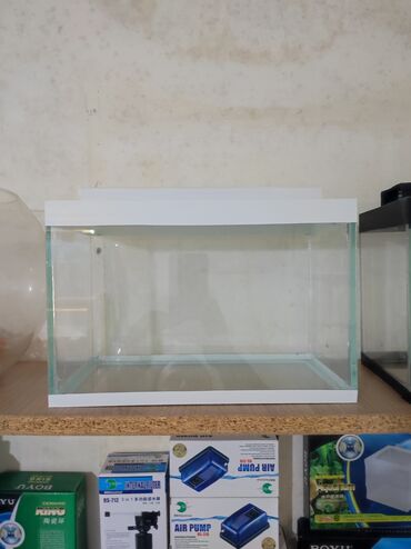 akvarium balıqlarının satışı: 30*20*15-9 litir qapaqli,12 azn 35*25*20-18 litir qapaqli,20 azn