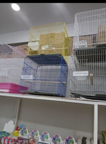 Qəfəslər: Her qiymete her olcude yeni qefeslermiz var satisda bayram edirimleri -da lalafo.az — 7 Qəfəslər: Her qiymete her olcude yeni qefeslermiz var satisda bayram edirimleri — 7