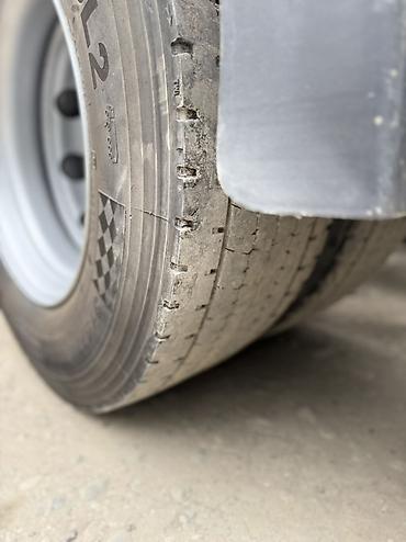 шкворень: Тягач, Renault, 2019 г., Без прицепа — 8