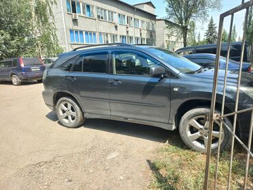 lexus rx 300 2001: Lexus RX: 2003 г., 3.3 л, Автомат, Бензин, Кроссовер