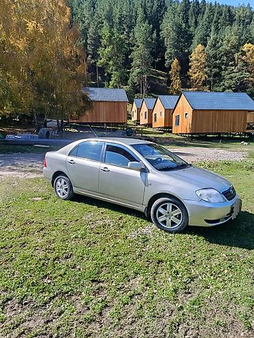 машины за 20 тысяч долларов: Toyota Corolla: 2004 г., 1.6 л, Автомат, Бензин, Седан — 1