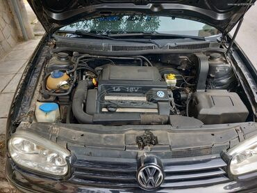 Volkswagen: Volkswagen Golf: 1.4 l. | 2002 έ. Χάτσμπακ — 7