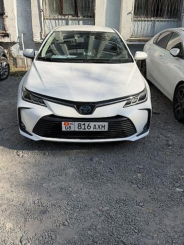 Toyota Corolla: 2019 г., 1.8 л, Вариатор, Гибрид, Седан