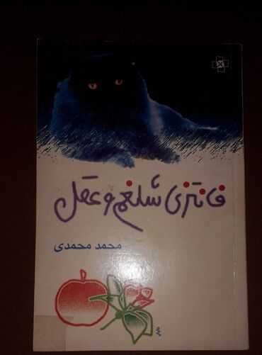 Иностранные языки: Персидский язык Грамматика Б/у состояние идеальное. Почти не at lalafo.kg — 20 Иностранные языки: Персидский язык Грамматика Б/у состояние идеальное. Почти не — 20