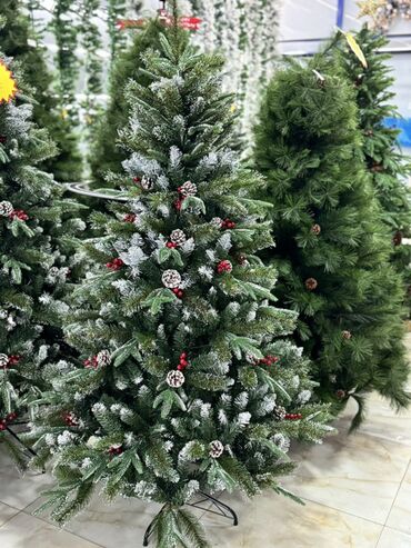 Yeni il ağacları: Məhsul: Yeni il şam ağacı koleksiyası 120 sm -70 man • 150 sm-100man — 5