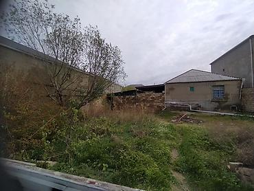 Torpaq sahələrinin satışı: Tikinti -da lalafo.az — 5 Torpaq sahələrinin satışı: Tikinti — 5