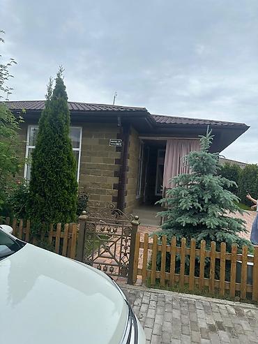 балыкчы пляж: Уборка территории, Уборка двора и сада — 6
