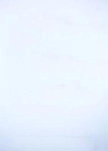 Ogrlice: Brezletna, lanac za džepni sat 6 komada. Cene su odredjene pojedinačno — 7