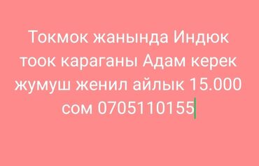 разнорабочий работа: Требуется Птичник, Оплата Ежемесячно